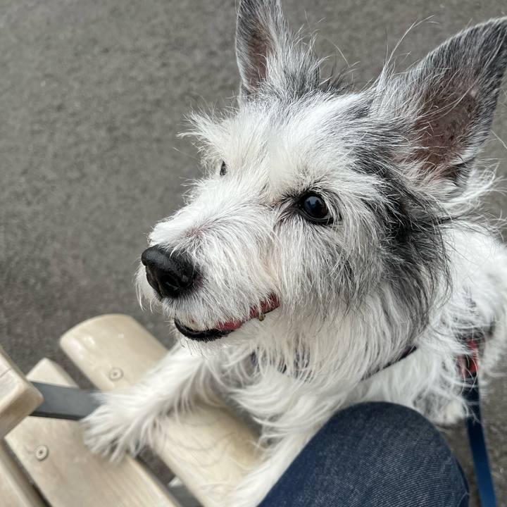 74f4f3dd 894d 43c4 92f9 37f78d7f2cbf 1678610270576