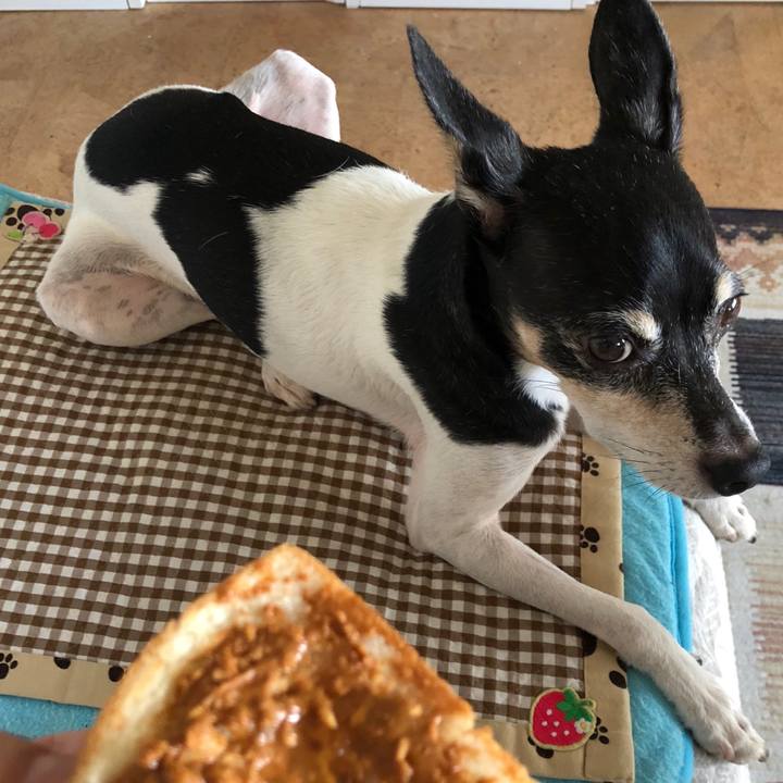 74f5243b 117b 41b6 ab07 6155057bd4f1 1539037838843