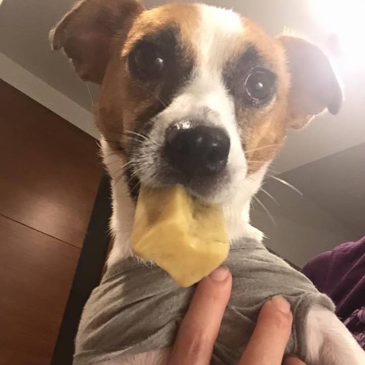 74f52686 647c 4399 9afe 52b9a6e0c886 1662078785261