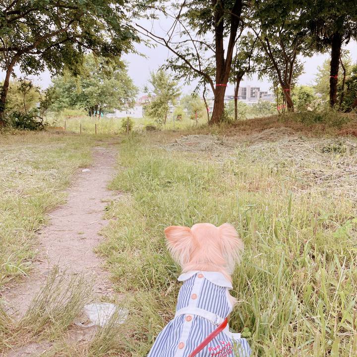 74f58a49 83a3 49c6 8a1b b1bc2a7f789f 1653043131118