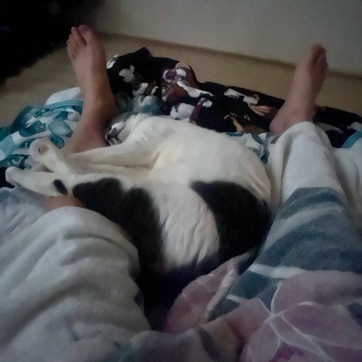 74f5d00b f7ee 4feb 9cd7 d4e696b5f766 1749152798666