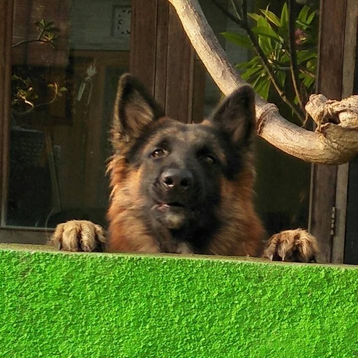 74f61fba fa21 45aa b0d8 5dc5d75213a4 1509529755736