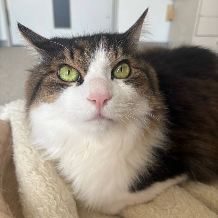 74f64cc6 69d1 4836 95ab d823a9f299a7 1774137950379