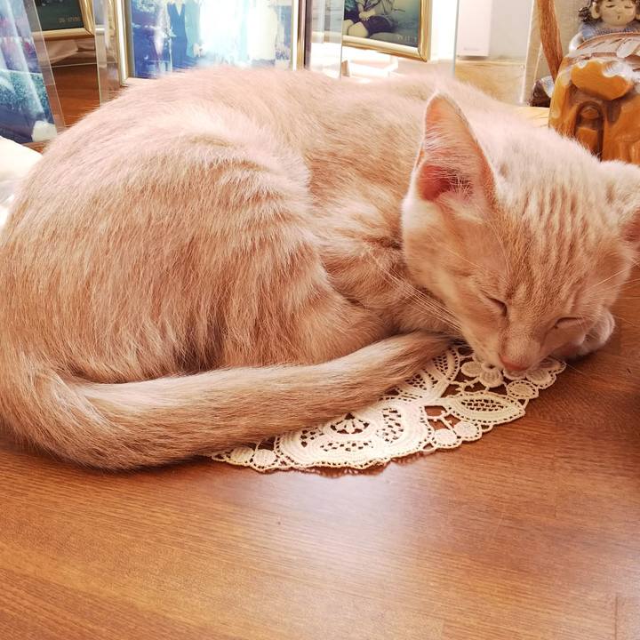 74f673e0 837a 4e4b a767 adb95ba4d66d 1540686481120