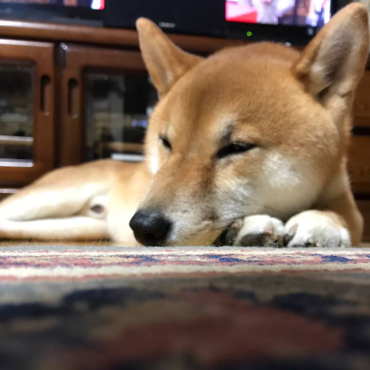 74f70653 9fc4 4077 b145 af4c57b5b989 1551567911779