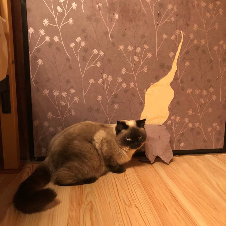 74f72ae9 7b8d 4d7b 9120 a91da0f602e9 1610668949926