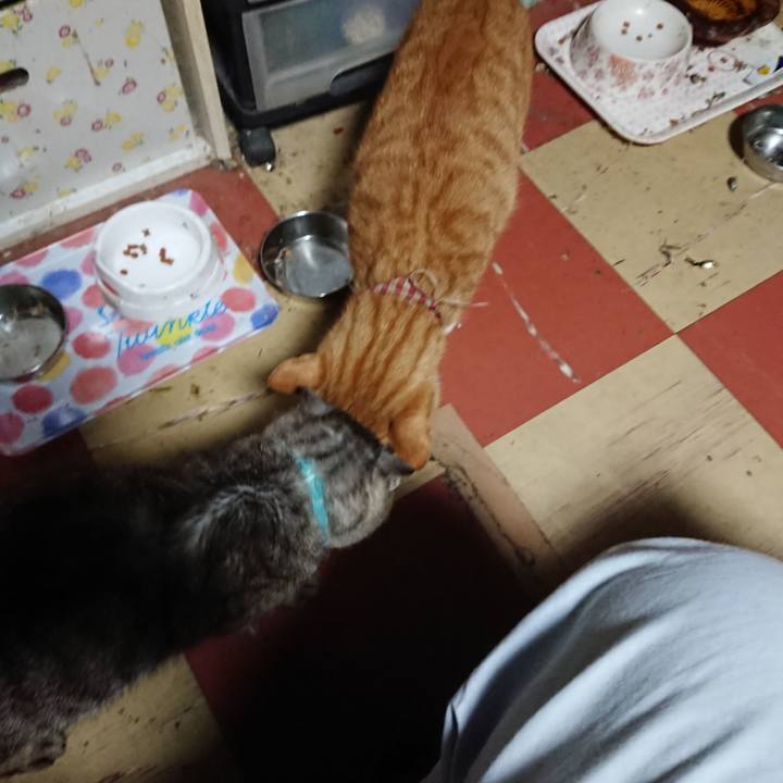 74f74d63 b245 4903 8403 df1671aa761c 1566849810828