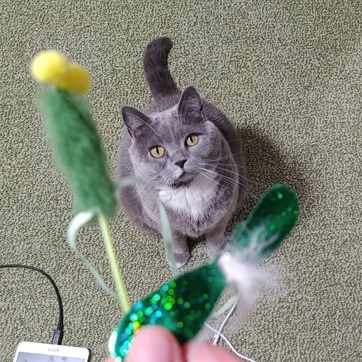 74f75326 8435 4ceb 8a60 d6243cc52fc9 1643972313226