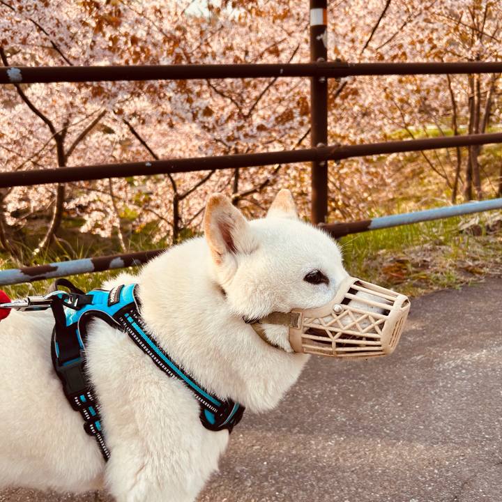 74f75c23 da9b 4b61 89ed 65701204e2c5 1682633779799