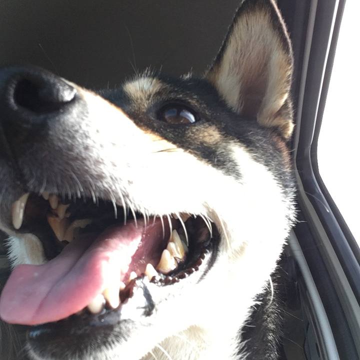 74f779fb ae96 48b1 805e ce7b5969ace0 1511257996834