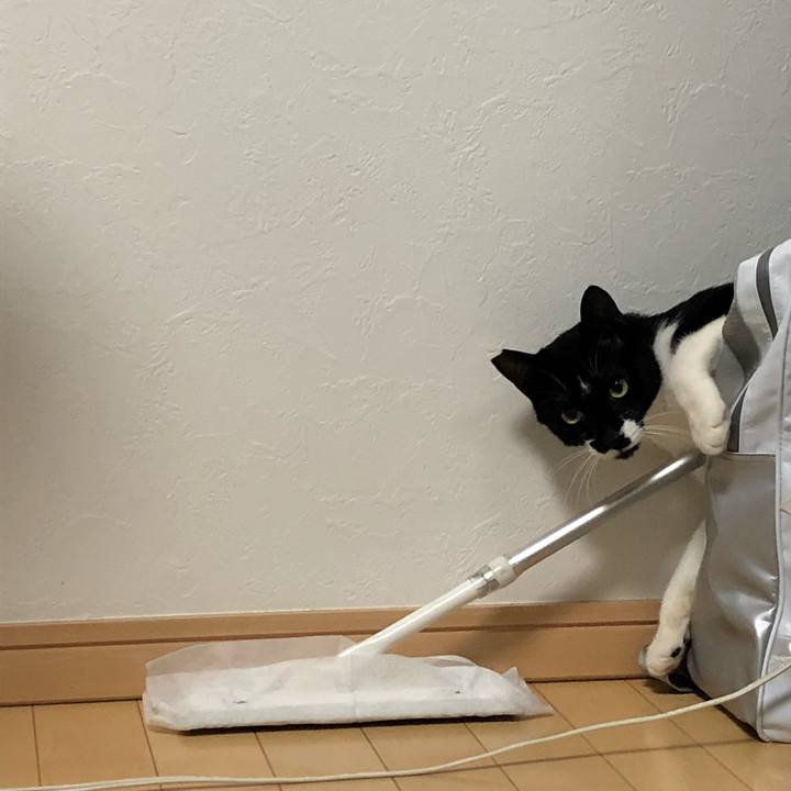 74f7dfe9 0691 4d6f bdb1 647f8baea2ab 1534174329278