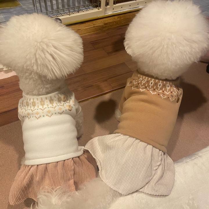 74f8115c d319 4fba 90d2 ff148e28b99c 1705833552597