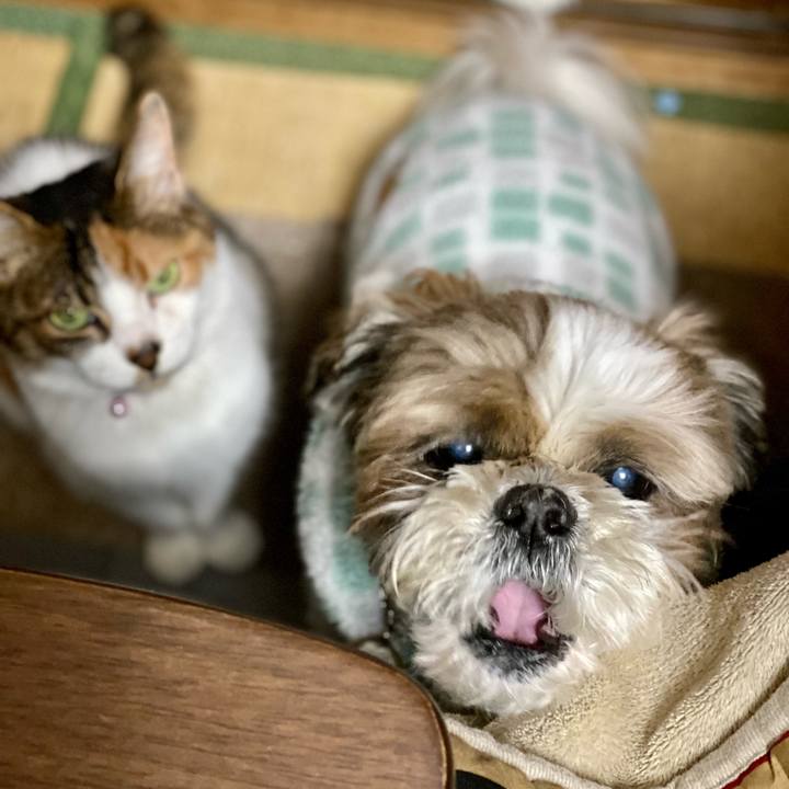 74f85d44 1de0 41bf accc 0b2300c7ee7b 1642509806649