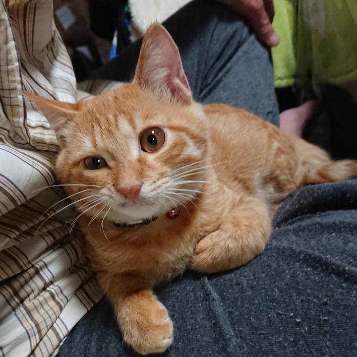 74f89921 adb1 4dee 9eb3 7562725afe7a 1635156404665