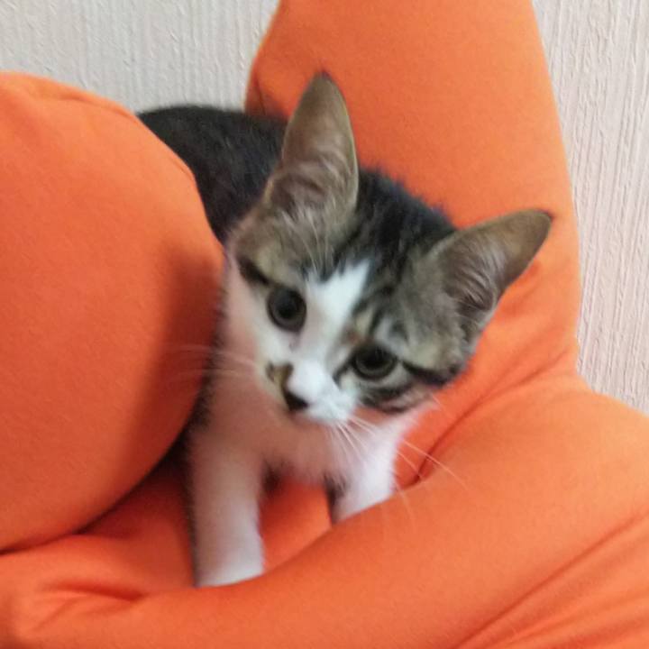 74f8f69d 958b 49c4 8b0b 7986ef70b119 1607255192708