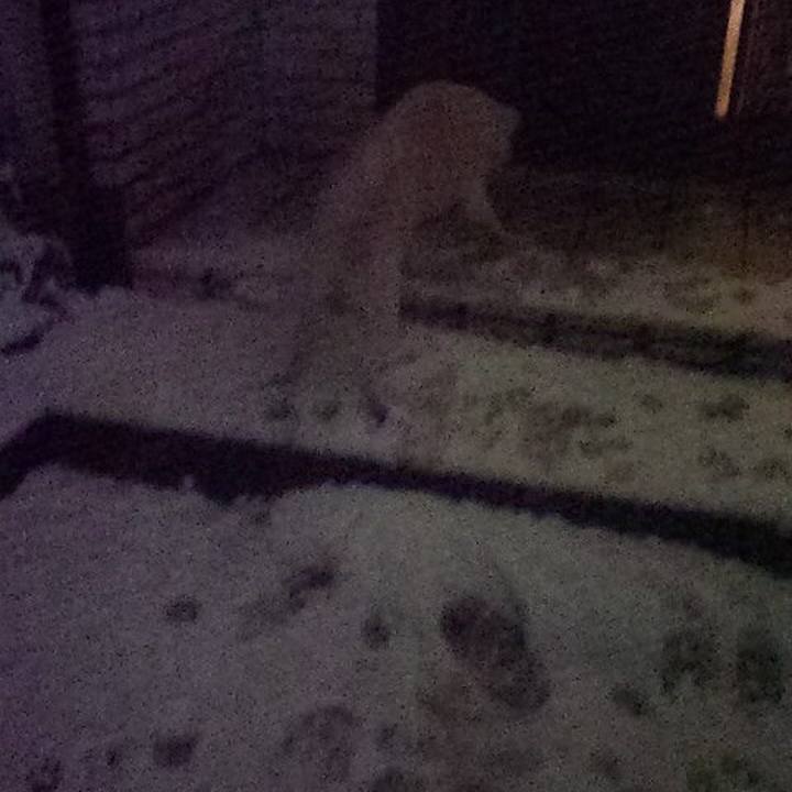 74f93562 9741 481b 9c2f 355f5710e5dc 1513614327957