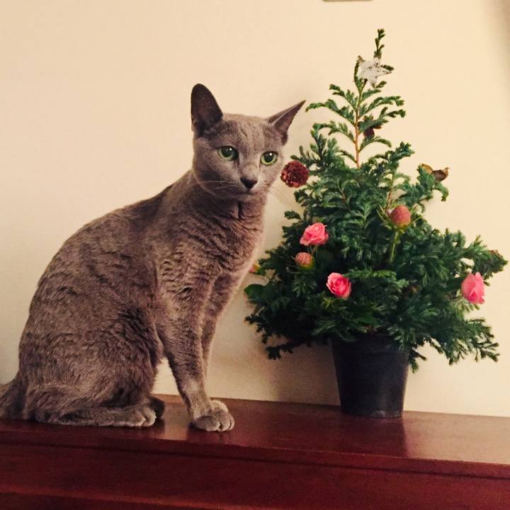 74f943bd 57e1 4a6c a3f2 313f6a571c95 1573427412137