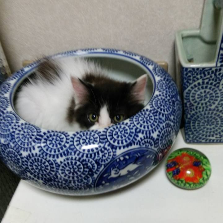 74f94e09 53ed 4d82 a15f 1d6f74bc09c5 1619171749769