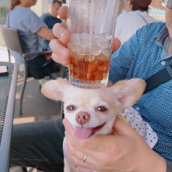 74f96e17 e41e 4e67 9e92 1ae0ef67d7f2 1757255186950