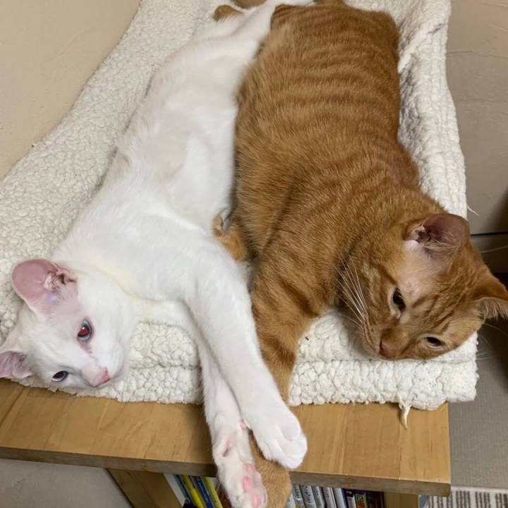 74f9746e 9f20 48ac 8700 30a4b1552a8b 1549705431923