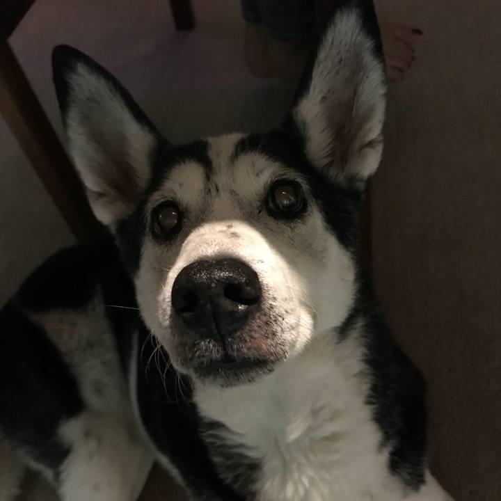 74f99193 85b7 4dd9 91cd ee3253d5db32 1508647227347