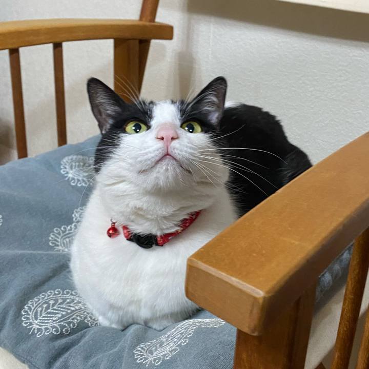 74f9d9c4 669f 4df0 80b8 e4503a430ad7 1628385962718