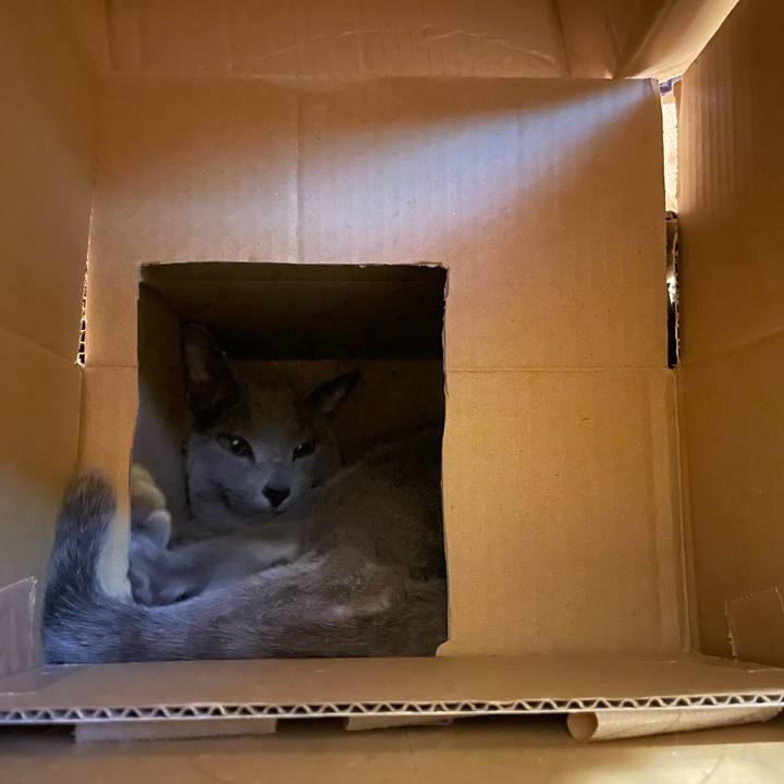 74f9fb49 ea1b 4dde b7a2 49605e23aa2c 1736483963849