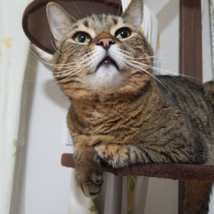 74fa2dbc 27ce 423e 9e05 3b77c6456968 1577098027086