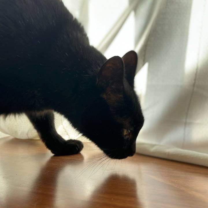 74fa6751 1f33 4a92 88d0 7c258c949757 1678587059965