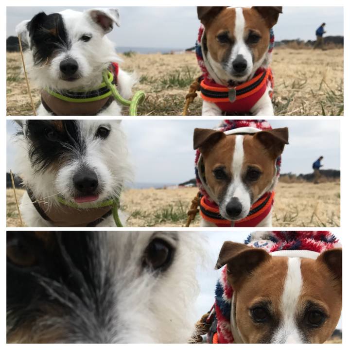 74fa6b33 289c 4017 a887 561c275b74bf 1519523317540