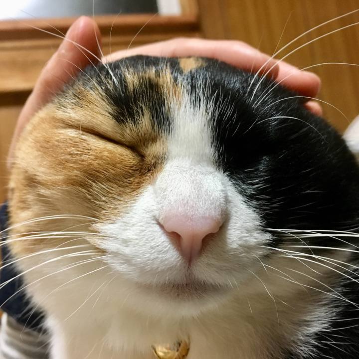 74fa8533 8611 464d b787 db62358f3753 1518174041595