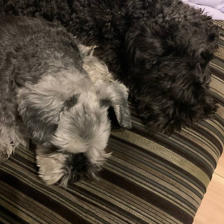 74fa8e7e 4264 40c9 ae0f 6dd6a31ebadd 1649684225592