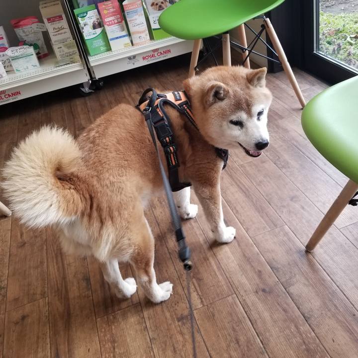 74fa96c7 d2c0 4cfe b05e 512cdd90f3cc 1743487394523