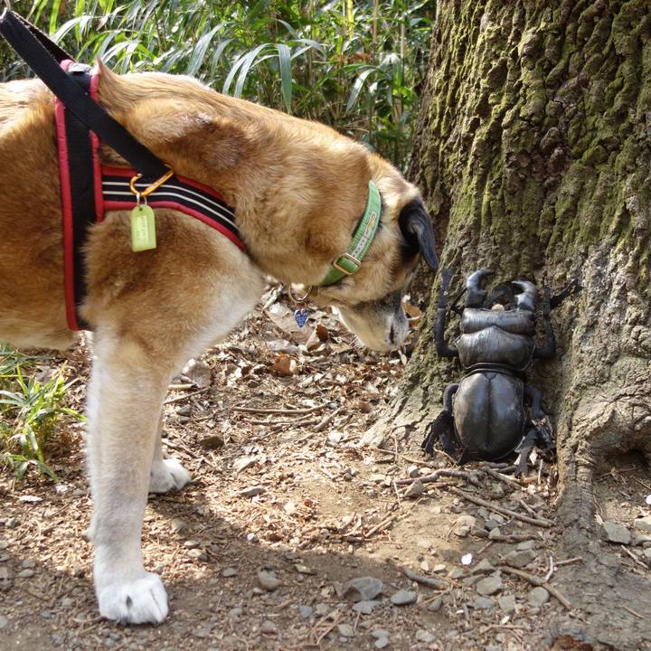 74faabe6 f198 42c8 b212 a3e73e6260d0 1554599051649