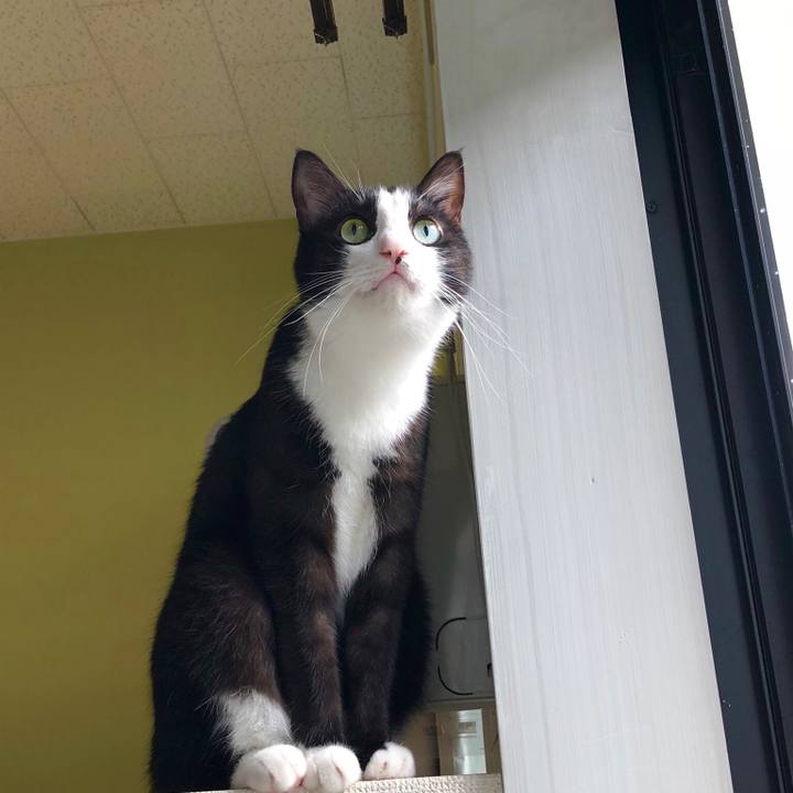 74fab3e1 1fcd 4e8d 8c4b 133369056c31 1540605694822