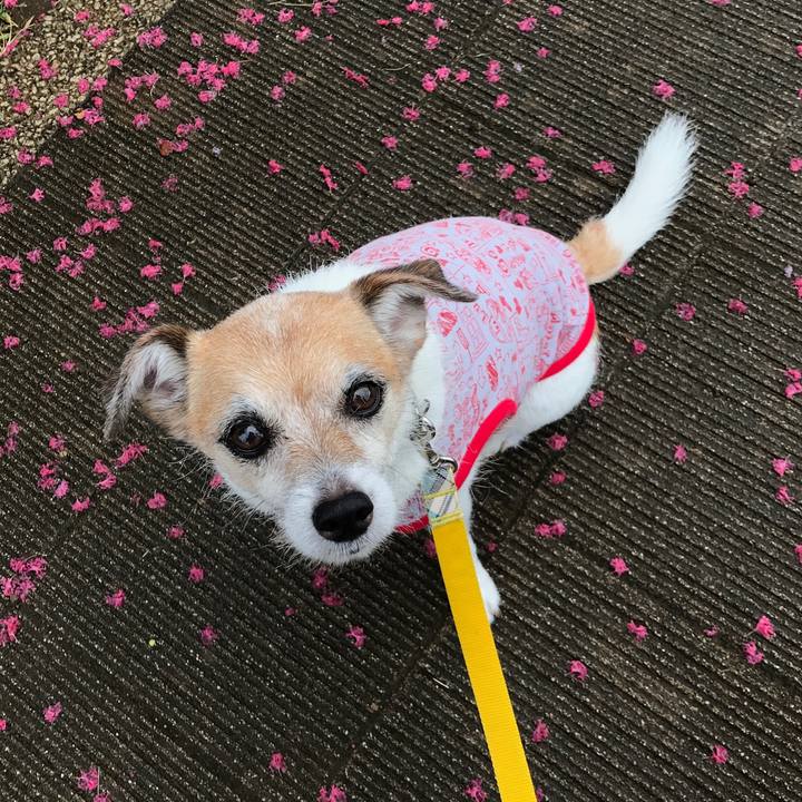 74fad422 4324 4018 85c1 94724c3da0e8 1628409933645