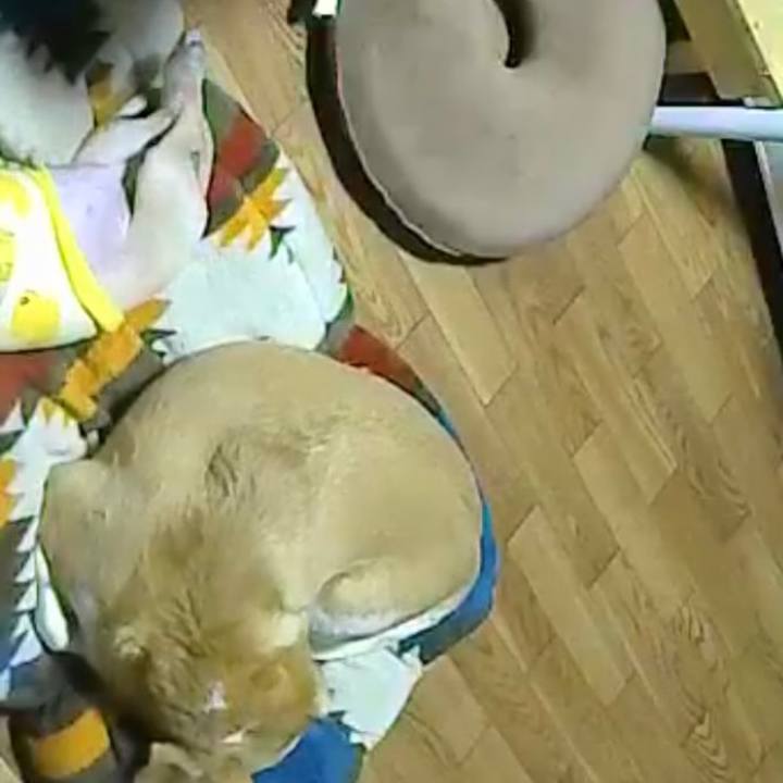 74fb656d b273 4aa0 86cb 89f612939a18 1666343247615