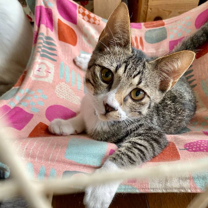 74fb6eec 5680 497d baed cbf681d3f202 1629961341163