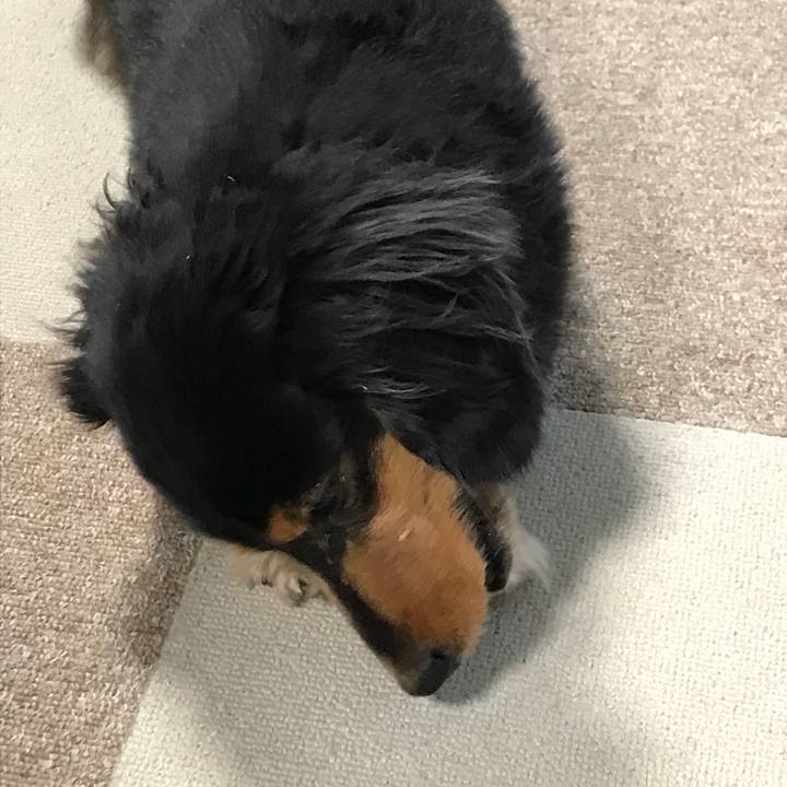 74fb791c b3fa 4fb0 8306 47da14806a4a 1513635771955