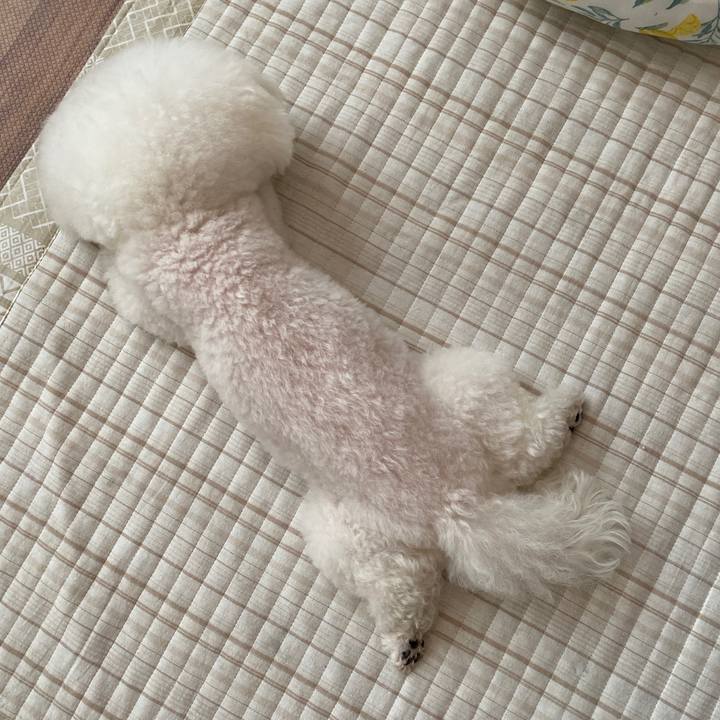 74fbadac 20d9 4991 a9c1 816b0adf8234 1685064270550