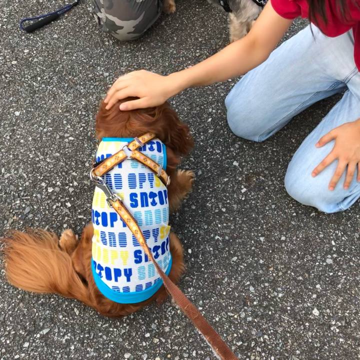 74fbc703 b8bd 4e47 b84e 07e764e8f8fb 1627943053218