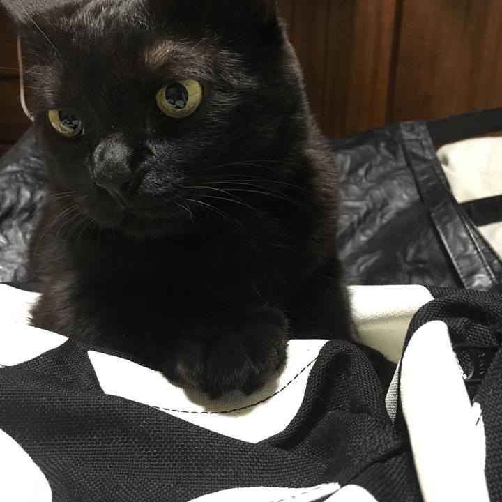 74fbd64d b140 4079 a9d7 82e254229357 1511097691114