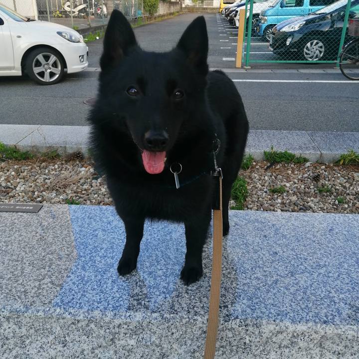 74fbe3bf 5c05 4e69 8051 0da9beb32de5 1625000988045