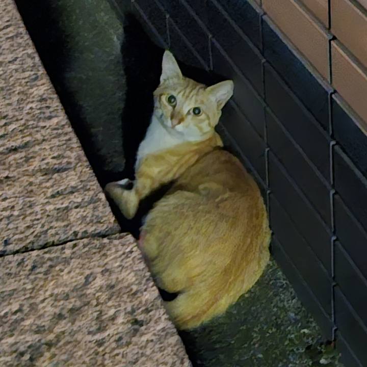 74fc2358 2b76 497d beca d3397393f521 1720026251110