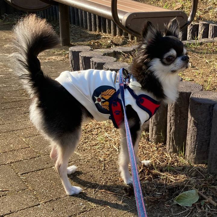 74fc4249 0729 4d86 845d 2954ec9bb26d 1698507134544