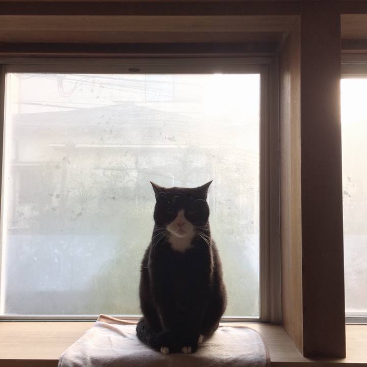 74fc7c02 3514 4b5e 8b0c b12699c1fa0d 1512688806192