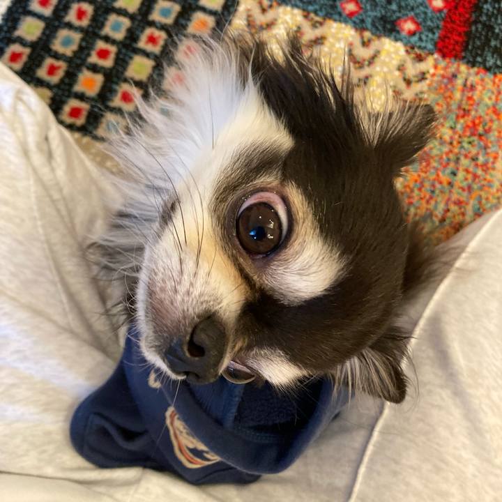 74fc7cf9 7f93 4546 9dca e400e7ae12e0 1708189823911