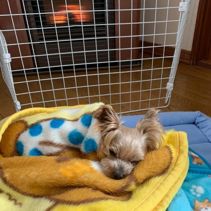 74fc8ee9 18dc 425e 8aaf fd6f5b17b990 1608369383495