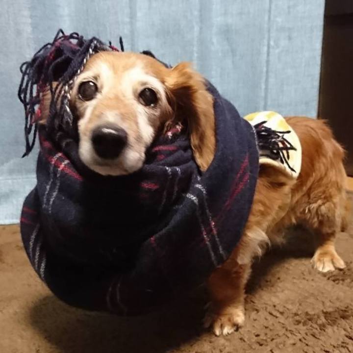 74fc93a6 3a04 42b2 aaf7 3d5190db59a5 1674578647596