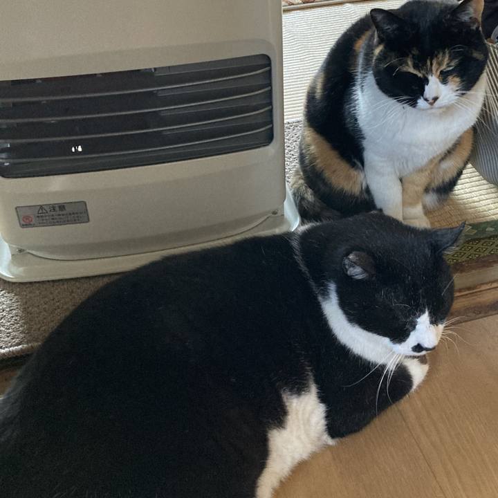 74fcb128 ef7e 4e03 95f6 01fdbe984ac9 1641945346552